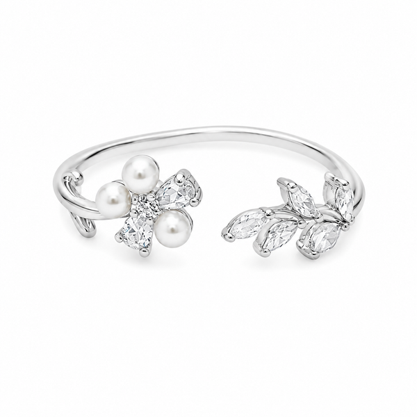 The Resilience Cluster Ring