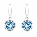 Vivid Drop Earrings