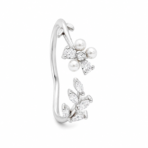 The Resilience Cluster Ring